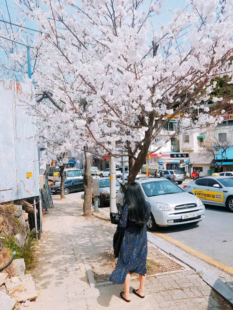 쉬폰 프릴 롱 원피스